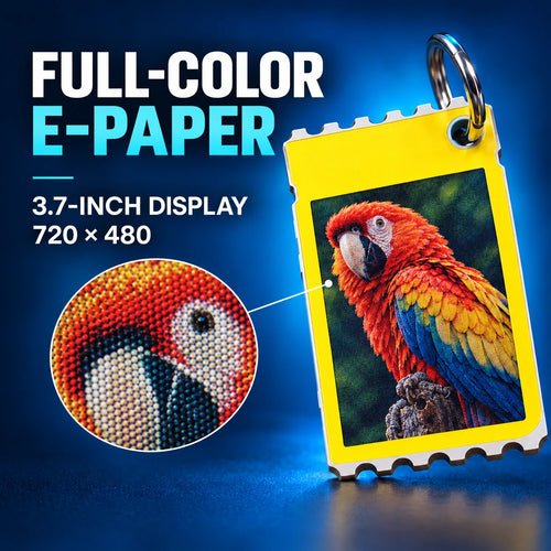Colorful Custom Electronic Card