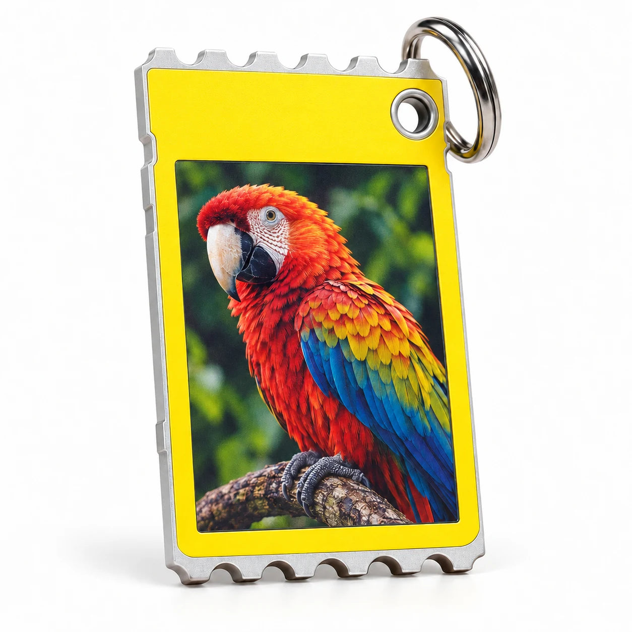 Color e-paper card with a parrot image